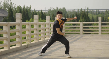 "中國(guó)功夫不僅是技術(shù),更是生活態(tài)度"