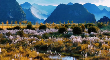 蘆花與遠(yuǎn)山夕陽交織 氛圍感拉滿